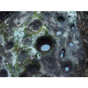 Click para ampliar. Pulsa en el nombre para ver la ficha. Monte do Boi-3